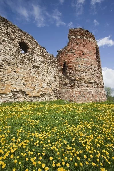 Estonia, Southeastern Estonia, Vana-Vastseliina, Vastseliina Castle ruins, b. 14th
