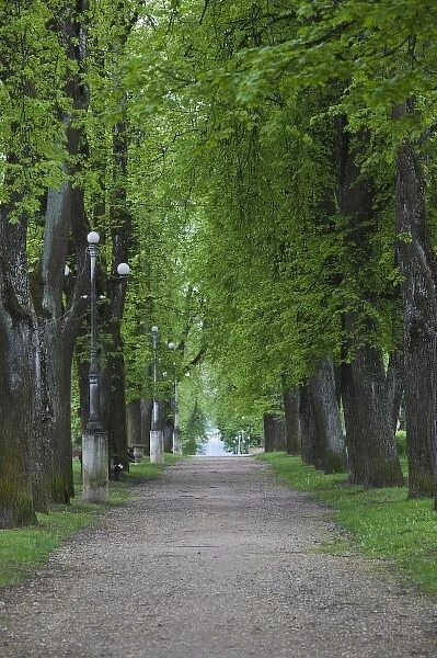 Estonia, Southeastern Estonia, Voru, Kateriina allee, tree-lined path