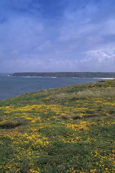 EU, France, Brittany, Finistere, Pointe Du Van, Coastal view