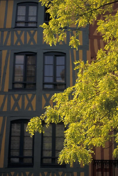 EU, France, Normandy, Seine, Rouen, Maritime. Spring Tree and Buildings, Old Rouen
