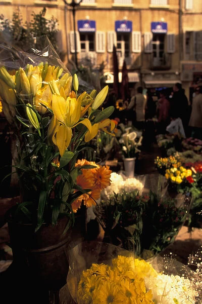 EU, France, Provence, Bouches-du-Rhone, Aix-en-Provence. Flower market detail