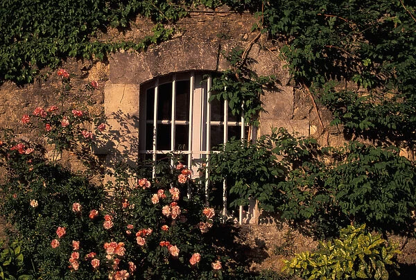 EU, France, Provence, Vaucluse, Manerbes. Peter Mayle Country, window & flowers