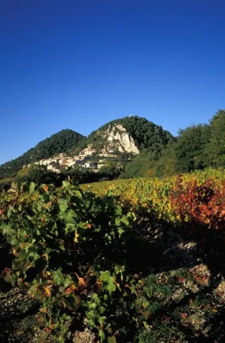 Framed Print : EU, France, Provence, Vaucluse, Seguret. Vineyards in autumn Framed Print : EU, France, Provence, Vaucluse, Seguret. Vineyards in autumn