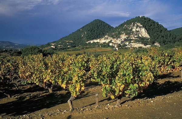 EU, France, Provence, Vaucluse, Seguret. Vineyards in autumn