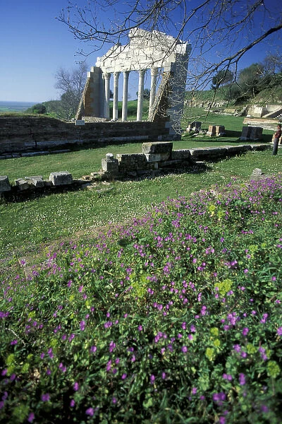 Europe, Albania, Apollonia. 6th century BC Greek, Roman and Bynzantinearcheological site