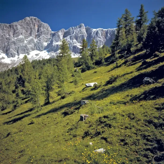 Framed Print : Europe, Austria, Dachstein Alps. The limestone plateau pokes above green meadows