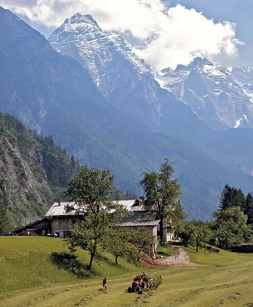 Europe, Austria, Inn River Valley. The Tuxer Alps look down on this haying scene