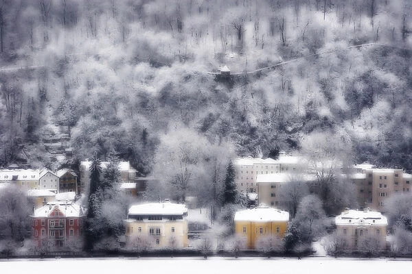 Europe, Austria, Salzburg. Dreamlike view of residences and snow-covered trees on hillside