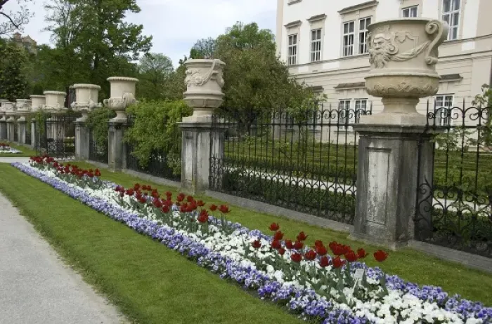 Framed Print : Europe, Austria, Salzburg Stadt, Salzburg, Spring flowers in Mirabell Garden Framed Print : Europe, Austria, Salzburg Stadt, Salzburg, Spring flowers in Mirabell Garden