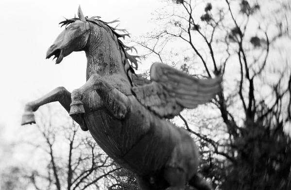 Europe, Austria, Salzburg. Winged horse statue, Mirabellgarten