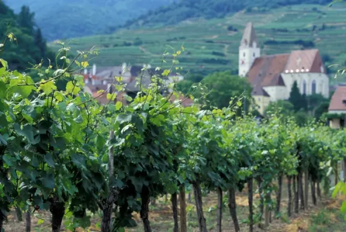 Framed Print : Europe, Austria, Wachau region, Melk and surrounding vineyards