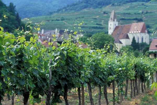 Europe, Austria, Wachau region, Melk and surrounding vineyards