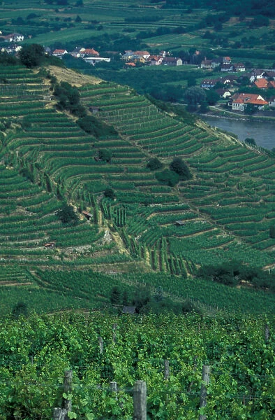 Europe, Austria, Wachau Region, Melk and surrounding vineyards