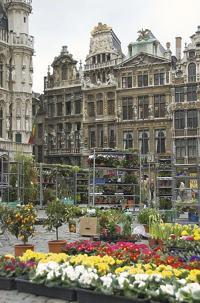 Europe, Belgium, Brussels-Capital Region, Brussels, Brussel, Bruxelles, flower market