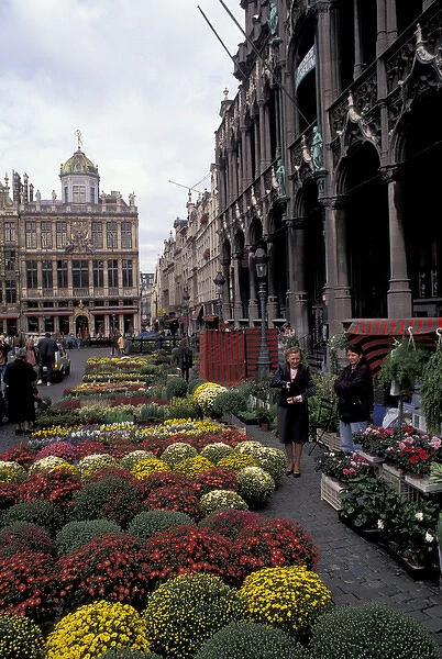 Europe, Belgium, Brussels Flower market, Grand Place