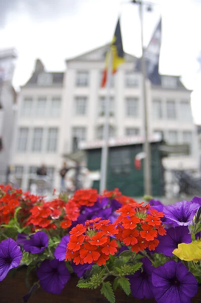 Europe, Belgium, Ghent. Flowers near Ghents waterfront, historic buildings