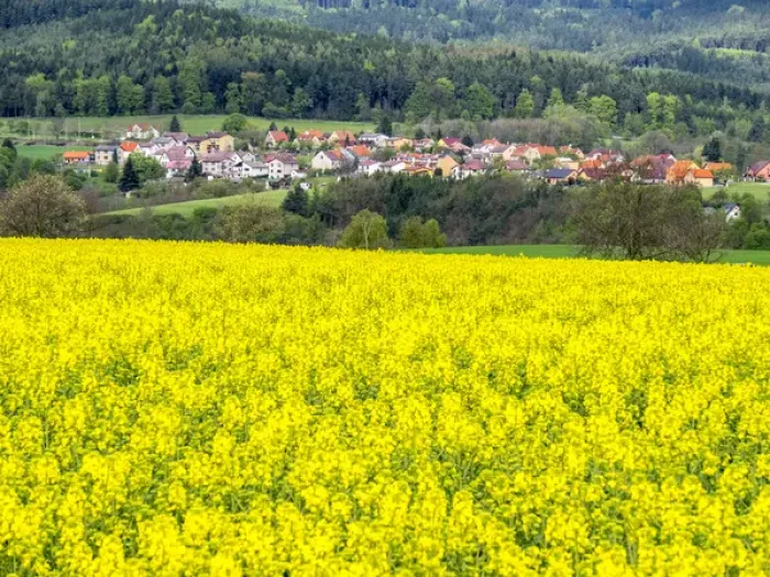 Framed Print : Europe, Czech Republic. Canola field with small village in the background Framed Print : Europe, Czech Republic. Canola field with small village in the background