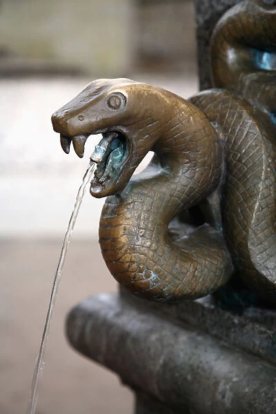 Europe, Czech Republic, Karlovy Vary. A bronze snake head decorated hot spring fountain