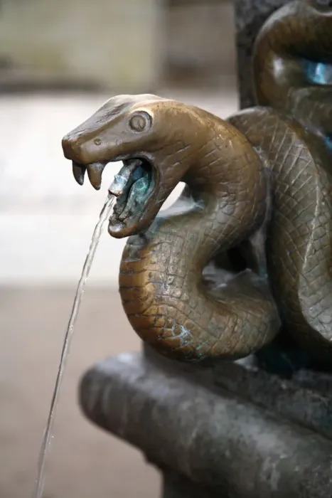 Framed Print : Europe, Czech Republic, Karlovy Vary. A bronze snake head decorated hot spring fountain
