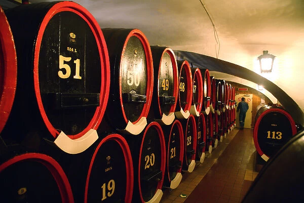 Europe, Czech Republic, Karlovy Vary. Barrels contain Becherovka bitters in the cellar