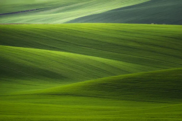Framed Print : Europe, Czech Republic. Moravia wheat fields