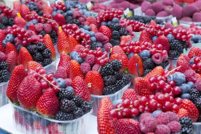 Framed Print : Europe, Czech Republic, Prague. Berries for sale at Havels Market. Credit as