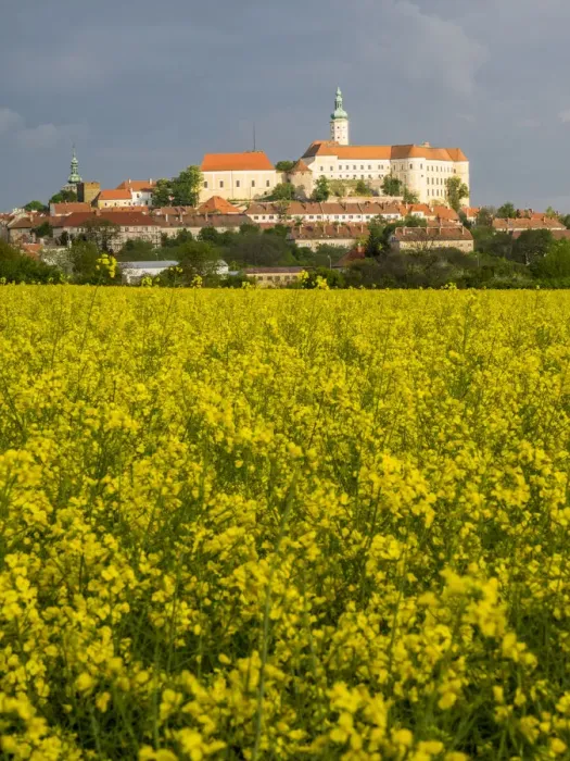 Framed Print : Europe, Czech Republic, South Moravia, Mikulov Framed Print : Europe, Czech Republic, South Moravia, Mikulov