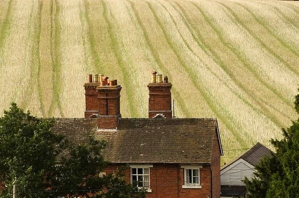 Europe, England, brick farmhouse in front of colourful field