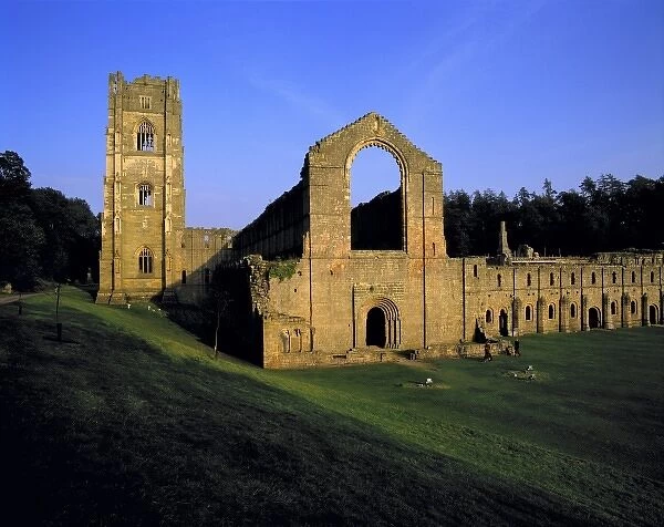 Europe, England, Fountains Abbey. Visitors roams among the stone ruins of Fountains Abbey