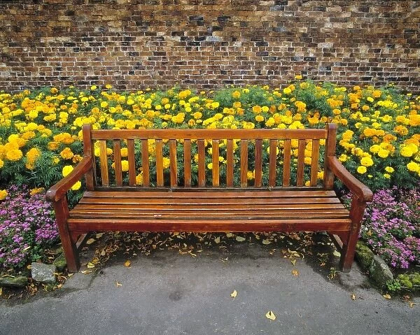Europe, England, Hexham. A wooden park bench is a lovely distraction from the bright