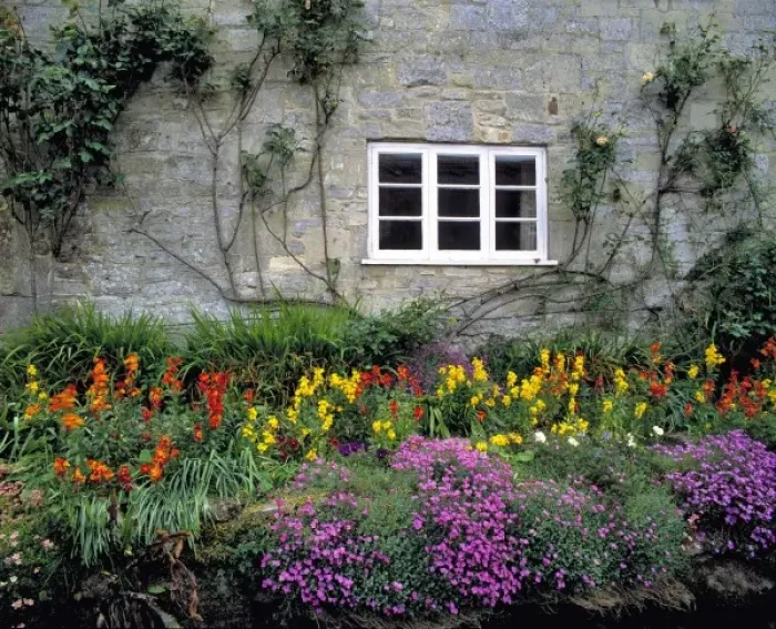 Framed Print : Europe, England, Teffont Magna. Flowers fill the garden of a stone house in Teffont Magna