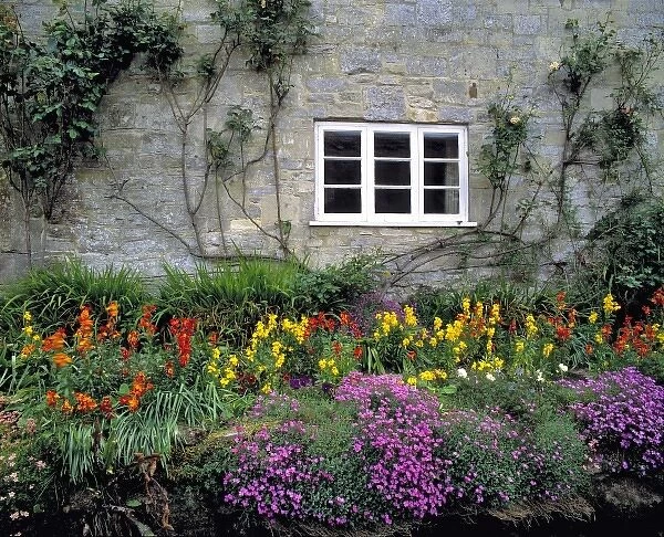 Europe, England, Teffont Magna. Flowers fill the garden of a stone house in Teffont Magna