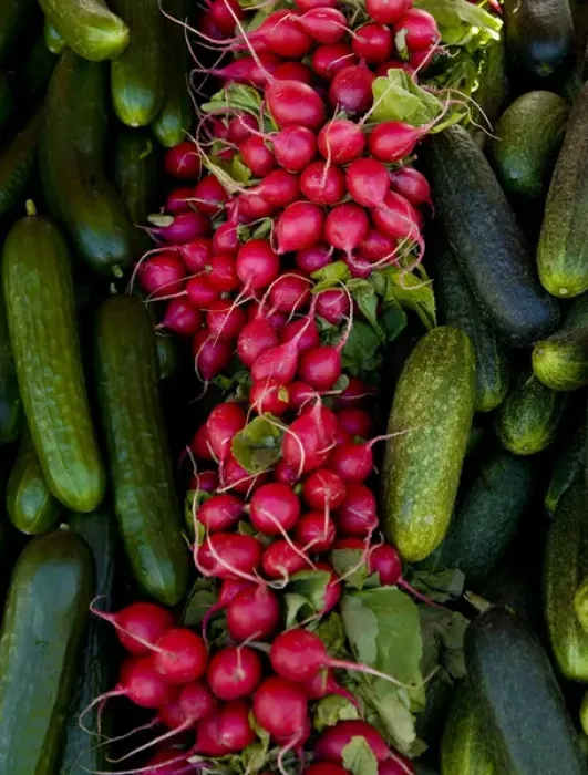 Framed Print : Europe, Finland, Helsinki. Produce at an outdoor market Framed Print : Europe, Finland, Helsinki. Produce at an outdoor market