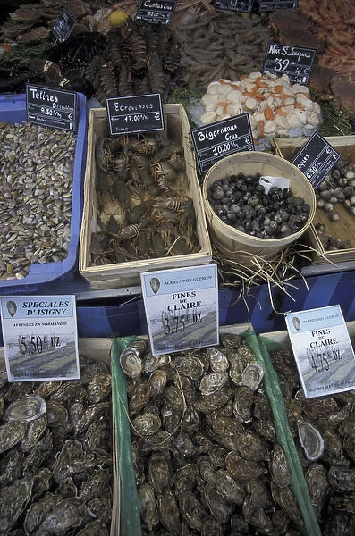 Europe, France, Aix En Provence. Shellfish and seafood stall at local market