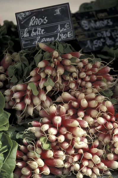 Europe, France, Aix en Provence. Organic vegetables in outdoor market