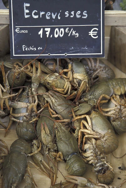 Europe, France, Aix en Provence. Local lobsters, outdoor market