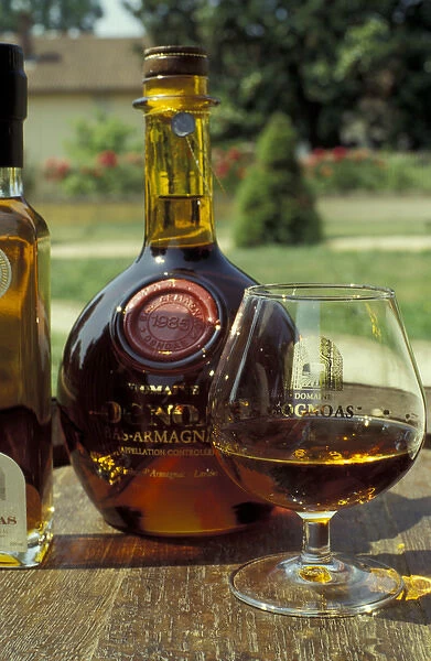 Europe, France, Aquitania, Armagnac. Armagnac is made from white grapes grown in