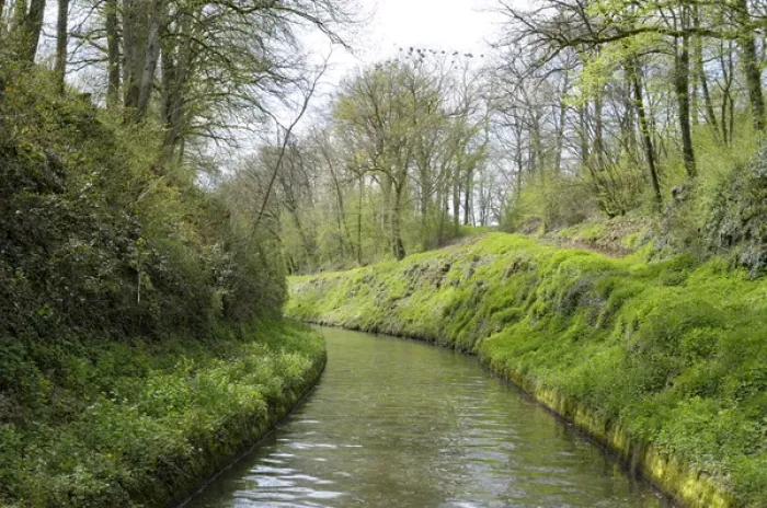 Framed Print : Europe, France, Burgundy, Nievre. Lush banks of the Nivernais Canal