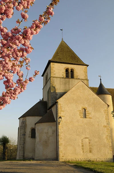 Europe, France, Burgundy, Nievre, Cercy-la-Tour. Church Saint-Pierre with tree blossoms