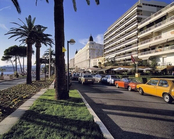Europe, France, Cannes. Palm trees line the famed Boulevard de la Croisette in Cannes