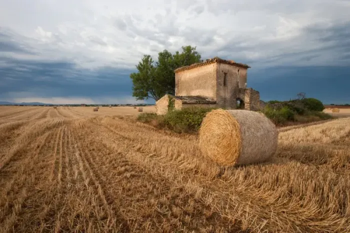 Framed Print : Europe, France. Hay bale in Provence field. Credit as: Ellen Anon / Jaynes Gallery / DanitaDelimont Framed Print : Europe, France. Hay bale in Provence field. Credit as: Ellen Anon / Jaynes Gallery / DanitaDelimont