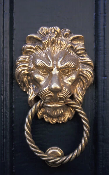 Europe, France, Jura, Poligny. Ornate lion head door knocker
