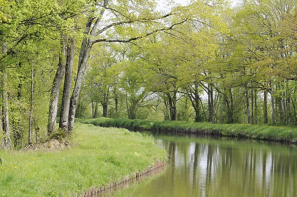 Europe, France, Loire. Spring trees and grasses, Canal lateral a la Loire
