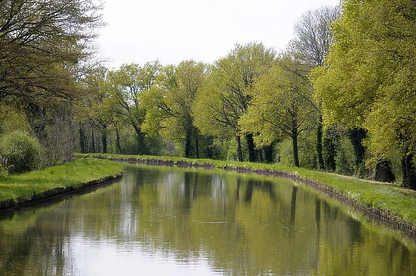 Europe, France, Loire. Trees lining the Canal lateral a la Loire