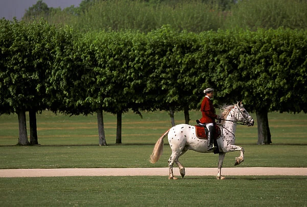 Europe, France, Loire Valley. Chateau Chambord, equestrian show preperations