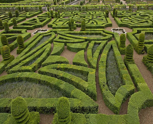 Europe, France, Loire Valley. Some of the gardens of the Chateau de Villandry
