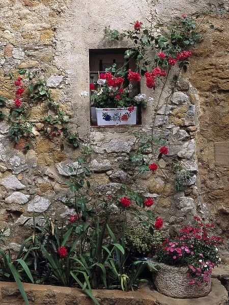Europe, France, Lourmarin. Flowers decorate a rock wall in Lourmarin, Provence, France