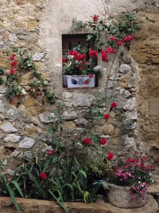 Framed Print : Europe, France, Lourmarin. Flowers decorate a rock wall in Lourmarin, Provence, France Framed Print : Europe, France, Lourmarin. Flowers decorate a rock wall in Lourmarin, Provence, France