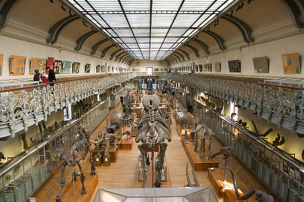 Europe, France, Paris, Austerlitz: Museum of Comparative Anatomy  /  Interior