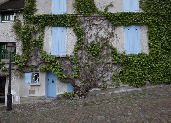 Europe, France, Paris. Ivy-covered wall of a building. Credit as: Bill Young  /  Jaynes